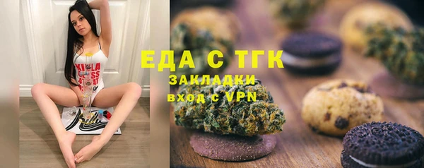 стафф Гусев
