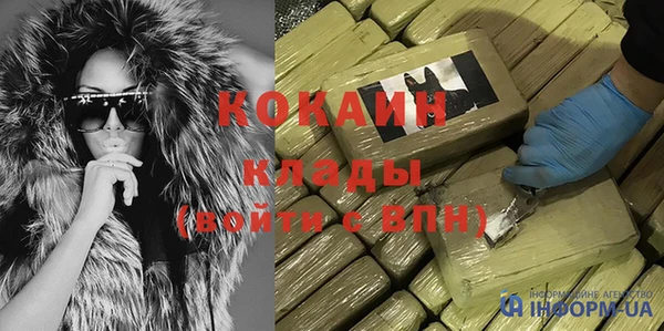 стафф Гусев