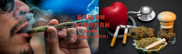 стафф Гусев