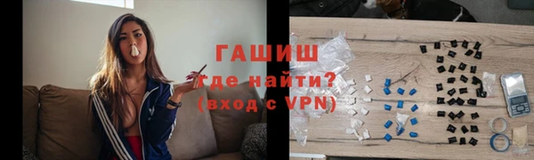 стафф Гусев