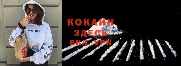 ПСИЛОЦИБИНОВЫЕ ГРИБЫ Гусь-Хрустальный