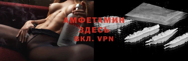 ПСИЛОЦИБИНОВЫЕ ГРИБЫ Гусь-Хрустальный