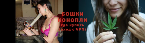 стафф Гусев