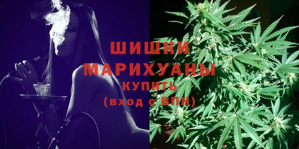 ПСИЛОЦИБИНОВЫЕ ГРИБЫ Гусь-Хрустальный