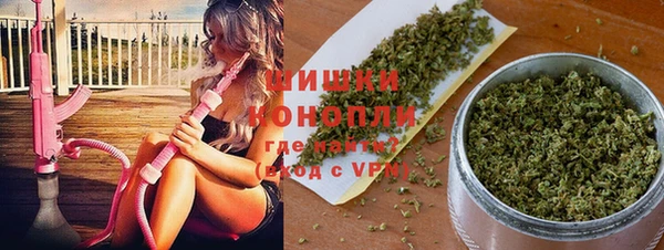 стафф Гусев