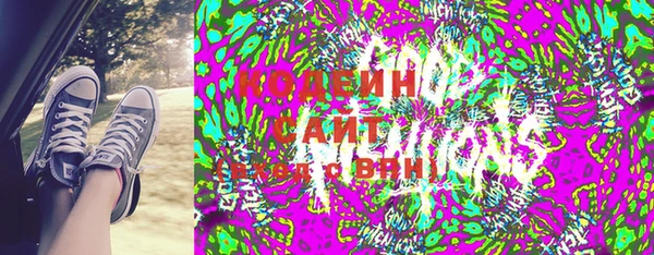 ПСИЛОЦИБИНОВЫЕ ГРИБЫ Гусь-Хрустальный