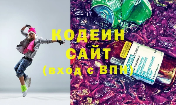 ПСИЛОЦИБИНОВЫЕ ГРИБЫ Гусь-Хрустальный