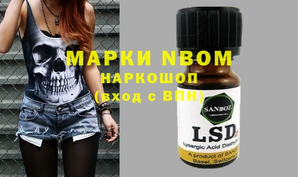 стафф Гусев