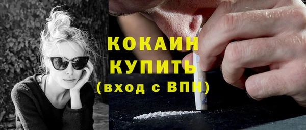 ПСИЛОЦИБИНОВЫЕ ГРИБЫ Гусь-Хрустальный