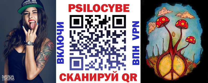 даркнет сайт  Дубовка  Псилоцибиновые грибы Psilocybe 